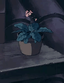 flower_rain